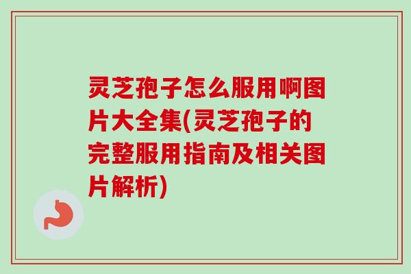 灵芝孢子怎么服用啊图片大全集(灵芝孢子的完整服用指南及相关图片解析)