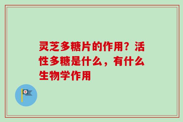 灵芝多糖片的作用？活性多糖是什么，有什么生物学作用
