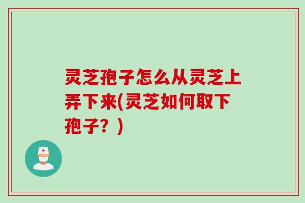 灵芝孢子怎么从灵芝上弄下来(灵芝如何取下孢子?) 灵芝孢子怎么从灵芝上弄下来(灵芝如何取下孢子?)