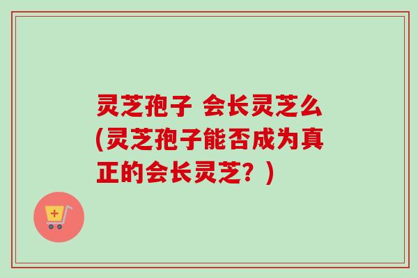 灵芝孢子 会长灵芝么(灵芝孢子能否成为真正的会长灵芝？)