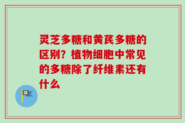 灵芝多糖和黄芪多糖的区别？植物细胞中常见的多糖除了纤维素还有什么
