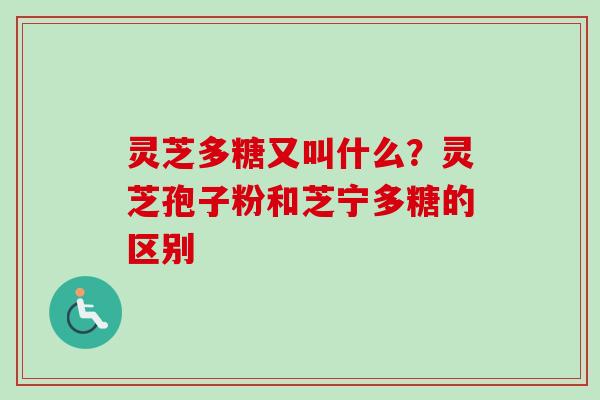 灵芝多糖又叫什么？灵芝孢子粉和芝宁多糖的区别