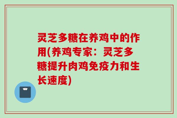 灵芝多糖在养鸡中的作用(养鸡专家：灵芝多糖提升肉鸡免疫力和生长速度)