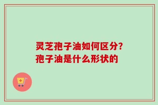 灵芝孢子油如何区分？孢子油是什么形状的