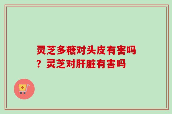 灵芝多糖对头皮有害吗？灵芝对肝脏有害吗