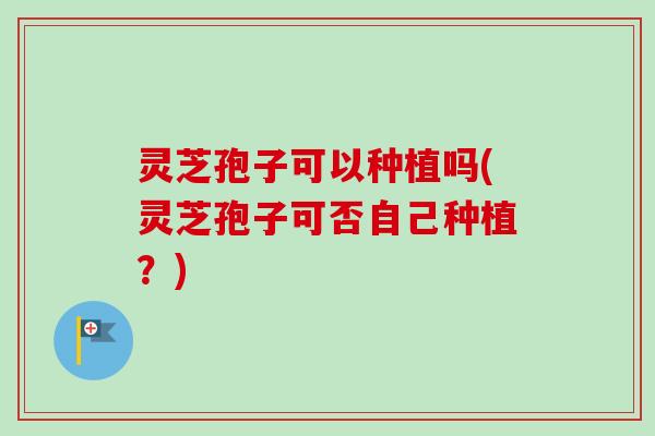 灵芝孢子可以种植吗(灵芝孢子可否自己种植？)