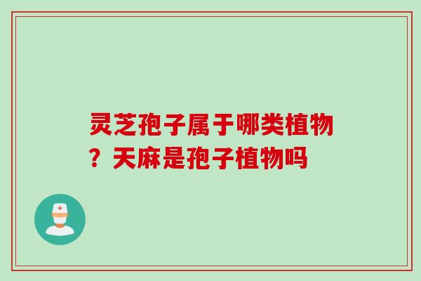 灵芝孢子属于哪类植物？天麻是孢子植物吗