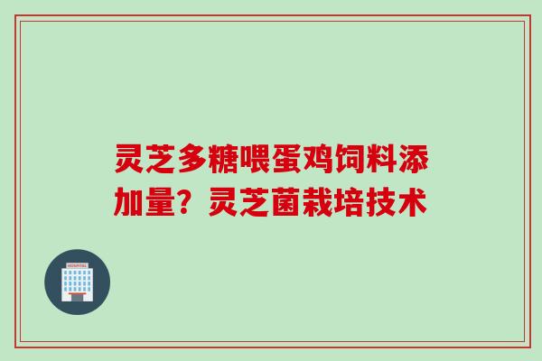 灵芝多糖喂蛋鸡饲料添加量？灵芝菌栽培技术