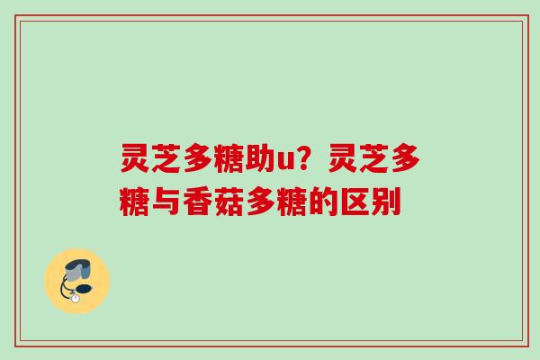 灵芝多糖助u？灵芝多糖与香菇多糖的区别