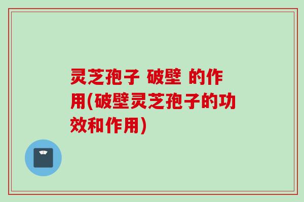 灵芝孢子 破壁 的作用(破壁灵芝孢子的功效和作用)