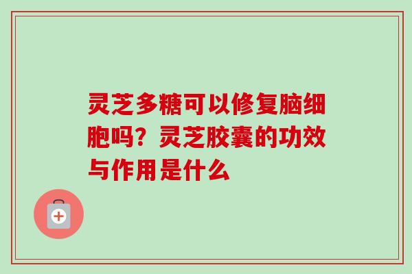 灵芝多糖可以修复脑细胞吗？灵芝胶囊的功效与作用是什么