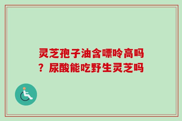 灵芝孢子油含嘌呤高吗?尿酸能吃野生灵芝吗 灵芝孢子油含嘌呤高吗?尿酸能吃野生灵芝吗