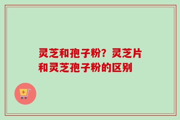 灵芝和孢子粉?灵芝片和灵芝孢子粉的区别 灵芝和孢子粉?灵芝片和灵芝孢子粉的区别
