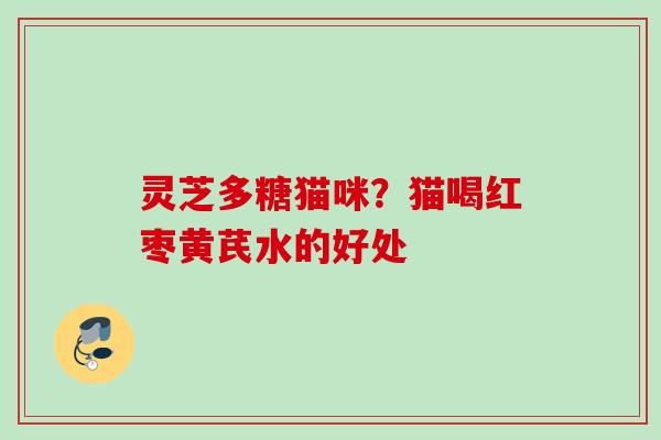 灵芝多糖猫咪？猫喝红枣黄芪水的好处