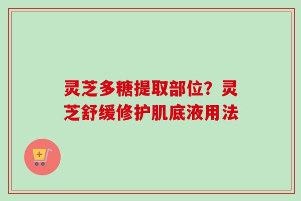 灵芝多糖提取部位？灵芝舒缓修护肌底液用法