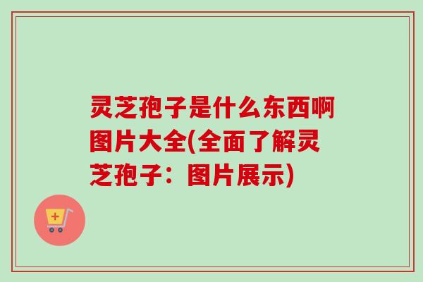 灵芝孢子是什么东西啊图片大全(全面了解灵芝孢子:图片展示) 灵芝孢子是什么东西啊图片大全(全面了解灵芝孢子:图片展示)