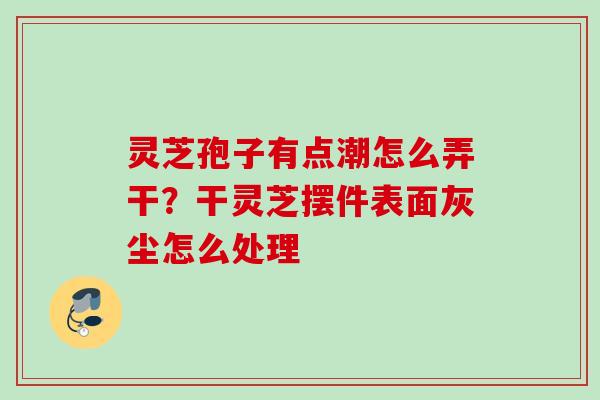 灵芝孢子有点潮怎么弄干？干灵芝摆件表面灰尘怎么处理