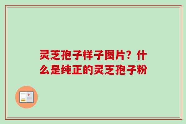 灵芝孢子样子图片?什么是纯正的灵芝孢子粉 灵芝孢子样子图片?什么是纯正的灵芝孢子粉