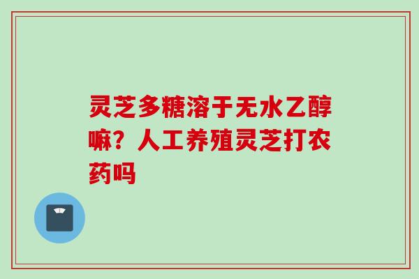 灵芝多糖溶于无水乙醇嘛？人工养殖灵芝打农药吗