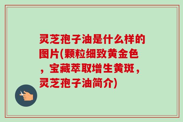 灵芝孢子油是什么样的图片(颗粒细致黄金色，宝藏萃取增生黄斑，灵芝孢子油简介)