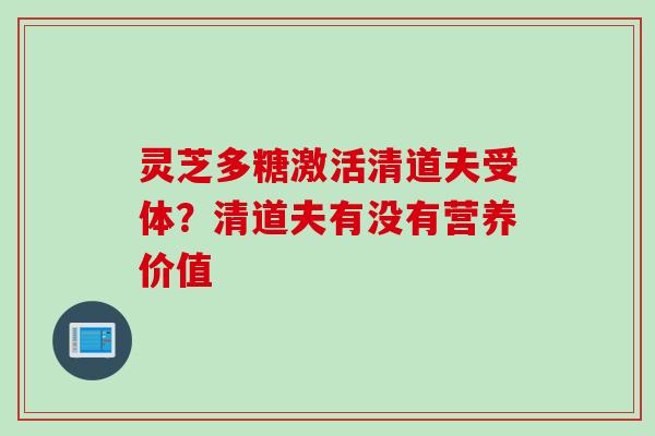 灵芝多糖激活清道夫受体？清道夫有没有营养价值