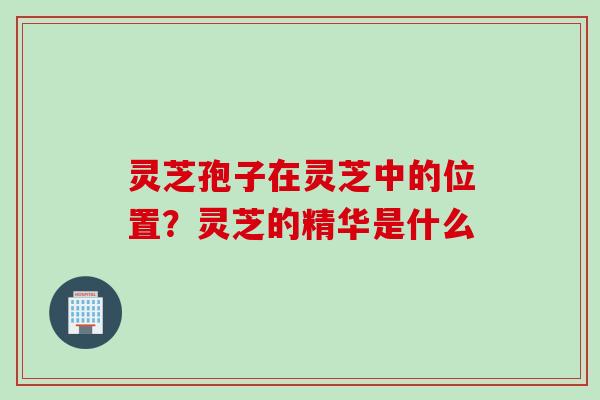 灵芝孢子在灵芝中的位置?灵芝的精华是什么 灵芝孢子在灵芝中的位置?灵芝的精华是什么