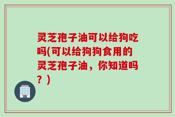 灵芝孢子油可以给狗吃吗(可以给狗狗食用的灵芝孢子油,你知道吗?) 灵芝孢子油可以给狗吃吗(可以给狗狗食用的灵芝孢子油,你知道吗?)