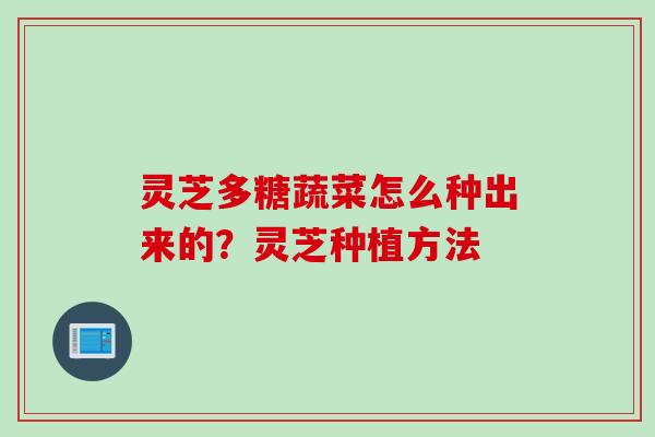 灵芝多糖蔬菜怎么种出来的？灵芝种植方法