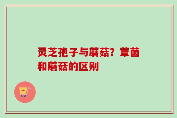 灵芝孢子与蘑菇？蕈菌和蘑菇的区别