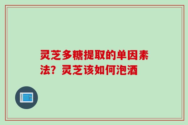 灵芝多糖提取的单因素法？灵芝该如何泡酒
