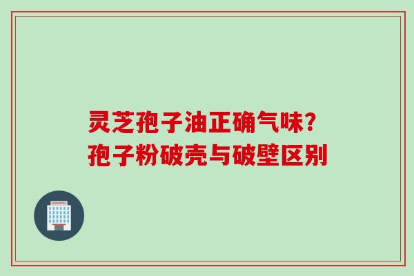 灵芝孢子油正确气味？孢子粉破壳与破壁区别