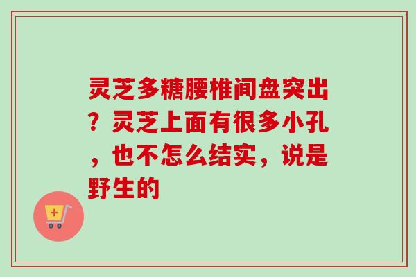 灵芝多糖腰椎间盘突出？灵芝上面有很多小孔，也不怎么结实，说是野生的