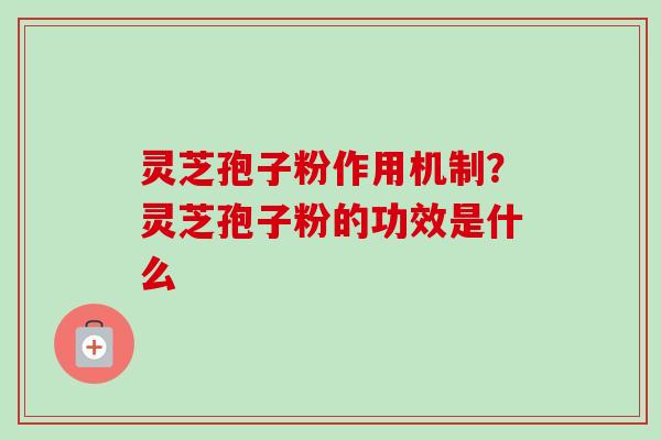 灵芝孢子粉作用机制？灵芝孢子粉的功效是什么