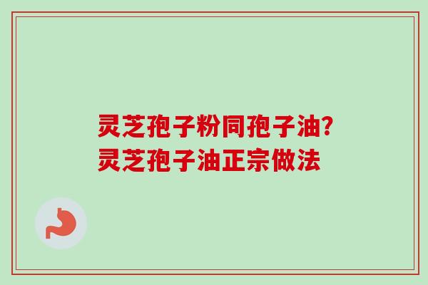 灵芝孢子粉同孢子油？灵芝孢子油正宗做法