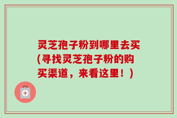 灵芝孢子粉到哪里去买(寻找灵芝孢子粉的购买渠道，来看这里！)