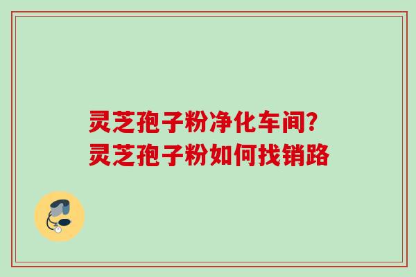灵芝孢子粉净化车间？灵芝孢子粉如何找销路