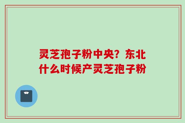 灵芝孢子粉中央？东北什么时候产灵芝孢子粉