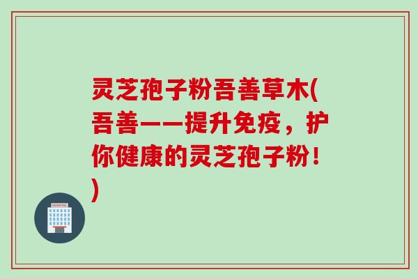 灵芝孢子粉吾善草木(吾善——提升免疫，护你健康的灵芝孢子粉！)