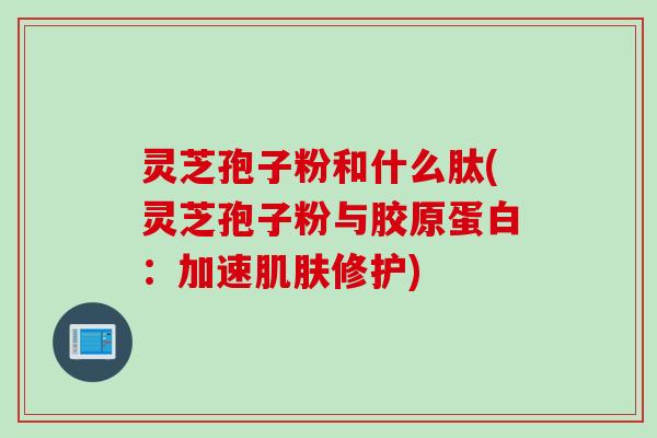 灵芝孢子粉和什么肽(灵芝孢子粉与胶原蛋白：加速肌肤修护)