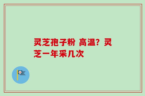 灵芝孢子粉 高温?灵芝一年采几次 灵芝孢子粉 高温?灵芝一年采几次