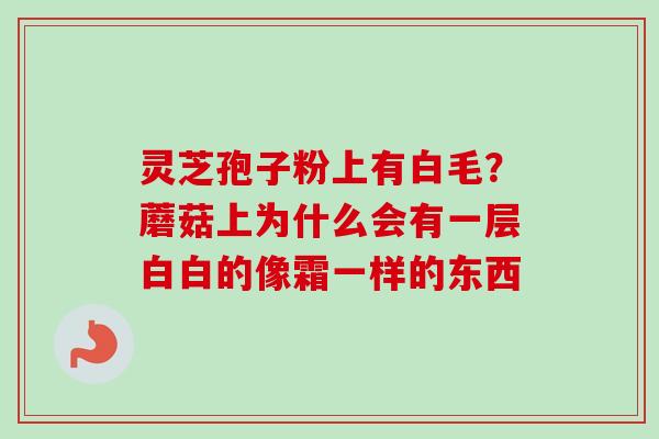 灵芝孢子粉上有白毛?蘑菇上为什么会有一层白白的像霜一样的东西 灵芝孢子粉上有白毛?蘑菇上为什么会有一层白白的像霜一样的东西