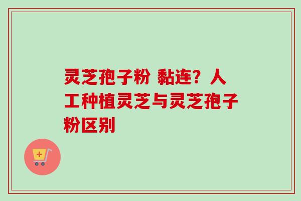 灵芝孢子粉 黏连？人工种植灵芝与灵芝孢子粉区别