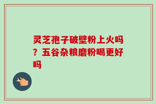 灵芝孢子破壁粉上火吗？五谷杂粮磨粉喝更好吗