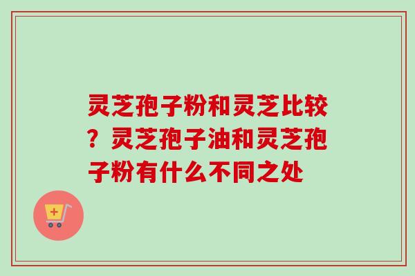 灵芝孢子粉和灵芝比较?灵芝孢子油和灵芝孢子粉有什么不同之处 灵芝孢子粉和灵芝比较?灵芝孢子油和灵芝孢子粉有什么不同之处