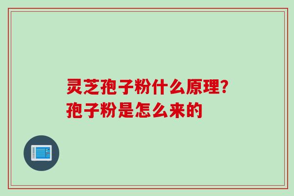 灵芝孢子粉什么原理？孢子粉是怎么来的