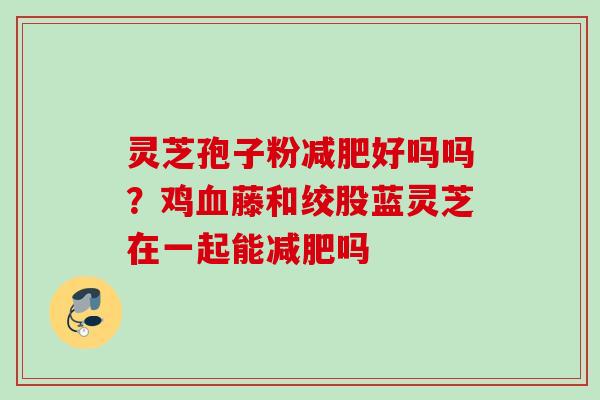 灵芝孢子粉减肥好吗吗？鸡血藤和绞股蓝灵芝在一起能减肥吗