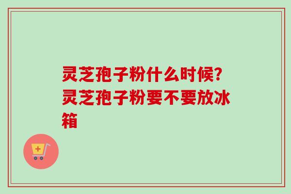 灵芝孢子粉什么时候？灵芝孢子粉要不要放冰箱