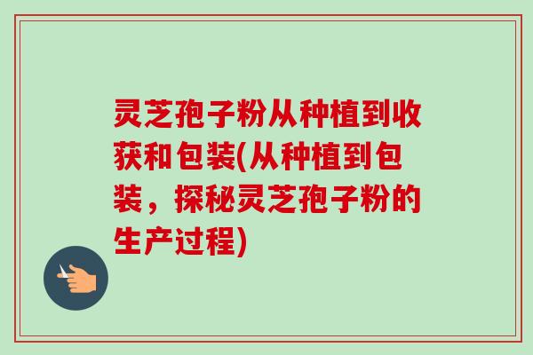 灵芝孢子粉从种植到收获和包装(从种植到包装，探秘灵芝孢子粉的生产过程)