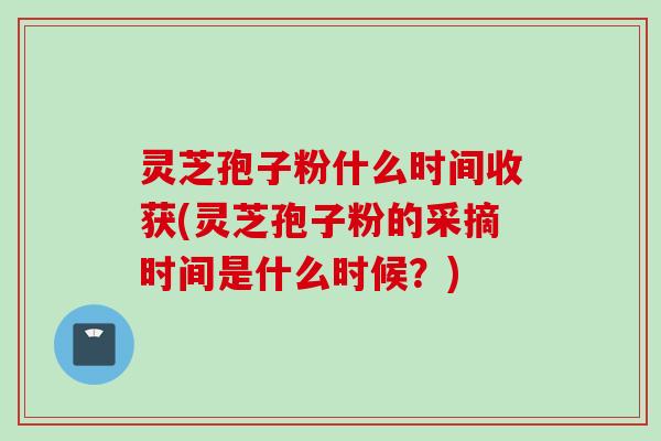 灵芝孢子粉什么时间收获(灵芝孢子粉的采摘时间是什么时候？)
