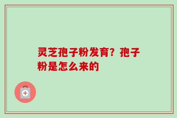灵芝孢子粉发育?孢子粉是怎么来的 灵芝孢子粉发育?孢子粉是怎么来的